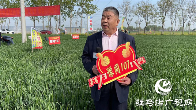 重磅！噸源種業(yè)再添強(qiáng)勢(shì)小麥品種，豫同107助農(nóng)增產(chǎn)豐收！