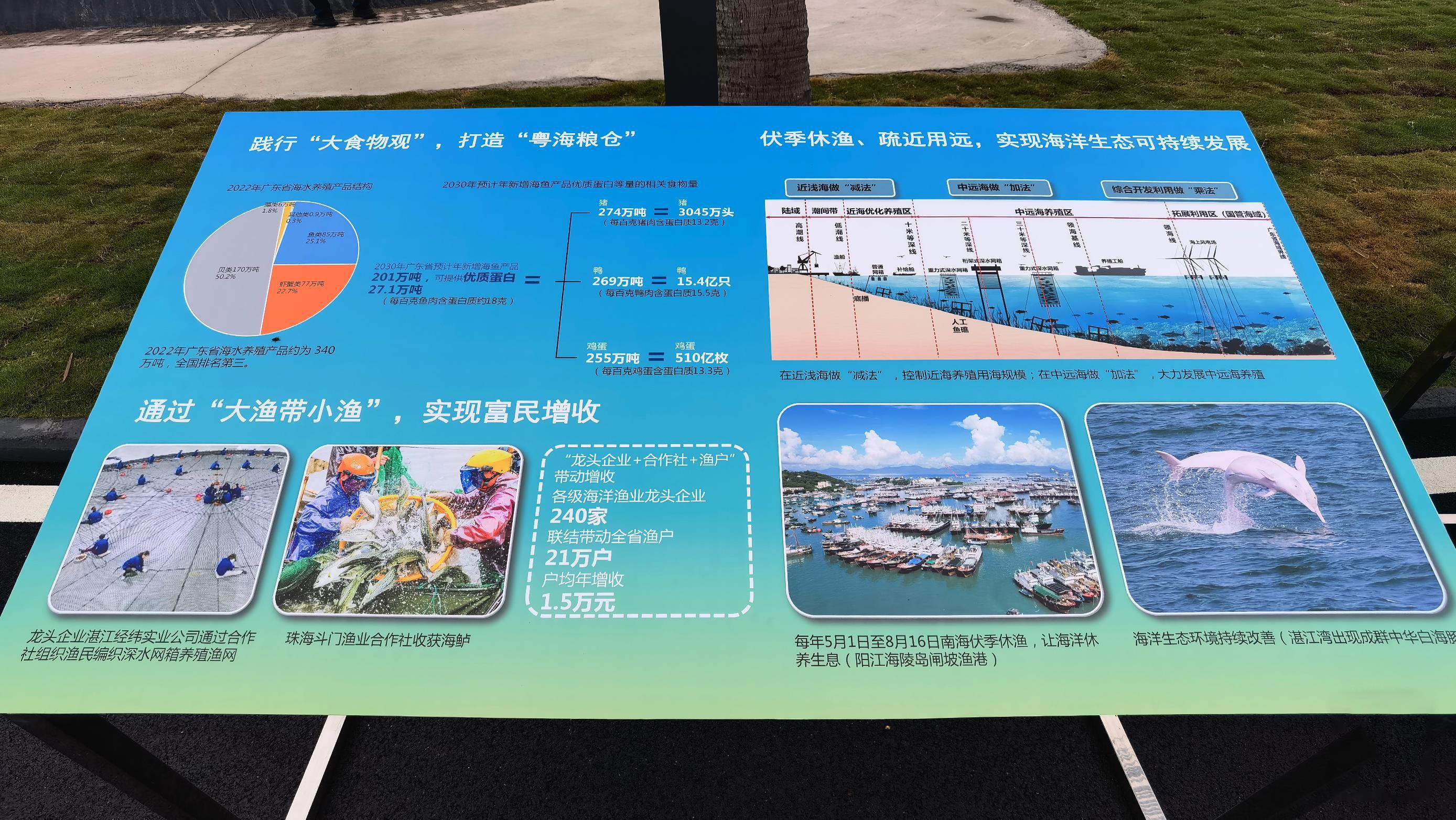 時(shí)政微觀察丨總書記湛江看“海”，關(guān)切這些“國之大者”
