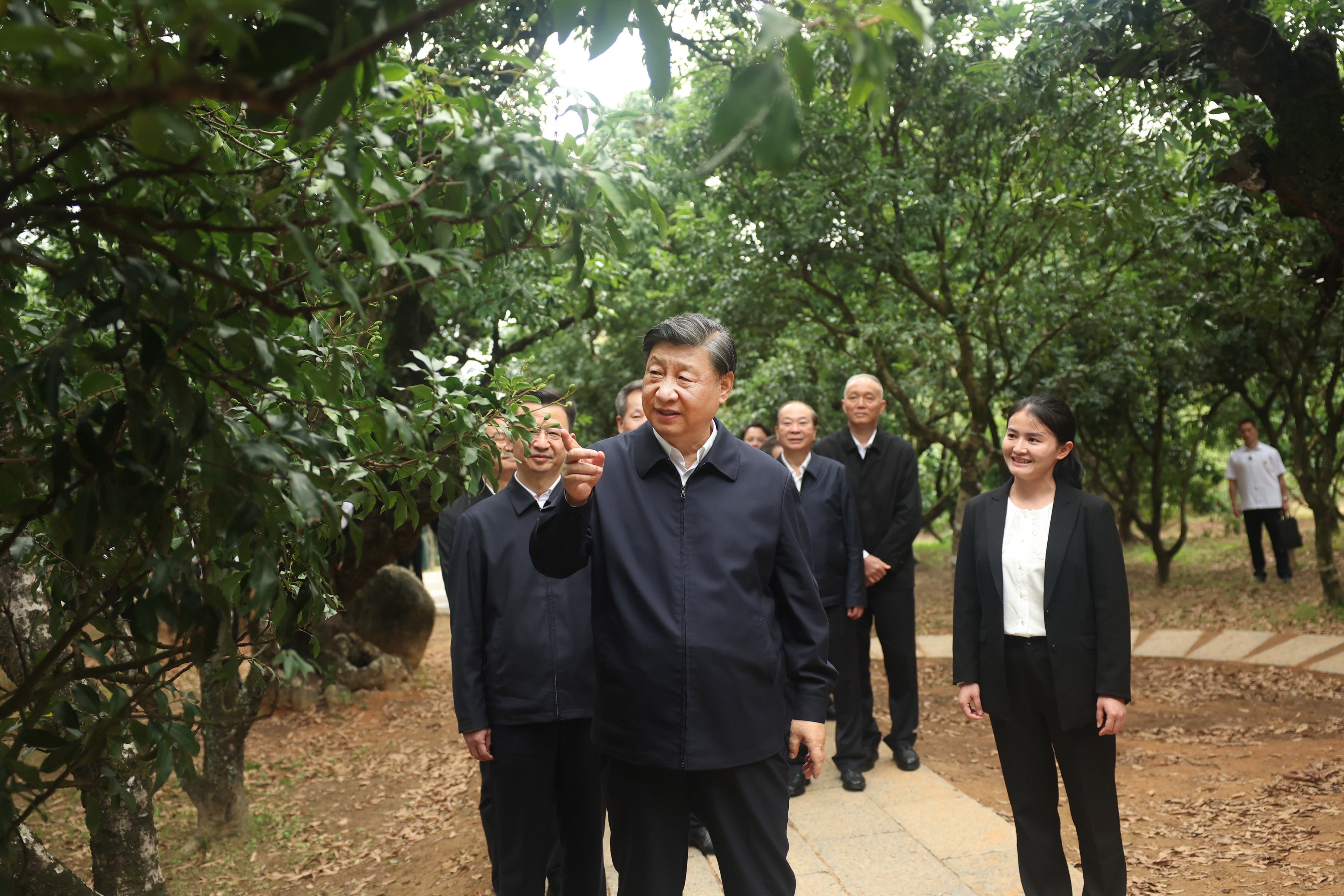 潮頭觀瀾丨六個故事，走進(jìn)中國“南大門”新時代答卷