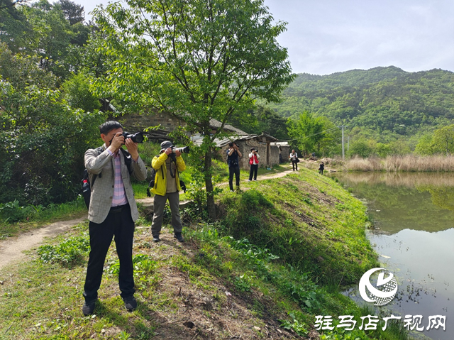 “走進蓮塘古村落 與歷史悠然邂逅” ——駐馬店市青年攝影家協(xié)會開展攝影采風活動