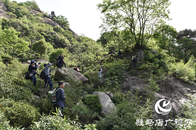 “走進蓮塘古村落 與歷史悠然邂逅” ——駐馬店市青年攝影家協(xié)會開展攝影采風活動