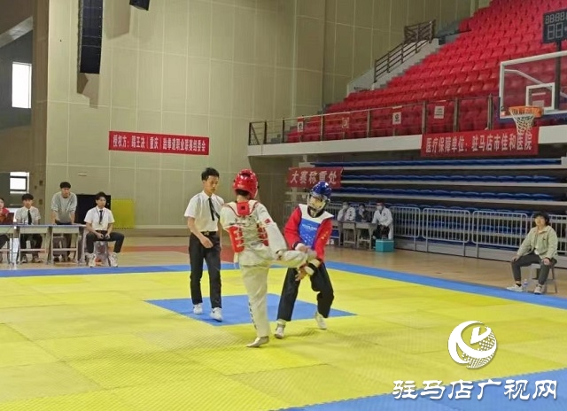 跆拳道健兒展英姿！2023年踢王決世界跆拳道職業(yè)聯(lián)賽(駐馬店站) 震撼開賽
