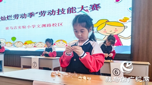 駐馬店實驗小學:勞動書寫精彩 奮斗展示自我