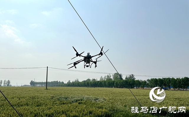 泌陽(yáng)縣郭集鎮(zhèn)：利用無人機(jī)噴藥打牢夏糧豐產(chǎn)基礎(chǔ)