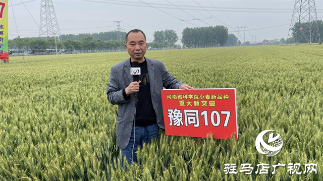 引領(lǐng)小麥新方向！噸源種業(yè)2023年豫同107觀摩會(huì)隆重召開
