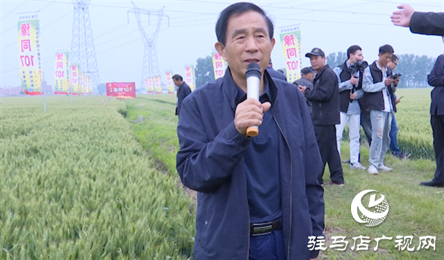 引領(lǐng)小麥新方向！噸源種業(yè)2023年豫同107觀摩會(huì)隆重召開