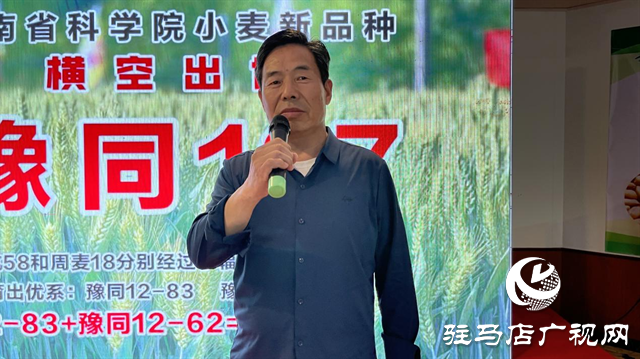 引領(lǐng)小麥新方向！噸源種業(yè)2023年豫同107觀摩會(huì)隆重召開
