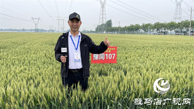 引領(lǐng)小麥新方向！噸源種業(yè)2023年豫同107觀摩會(huì)隆重召開