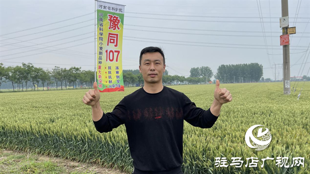引領(lǐng)小麥新方向！噸源種業(yè)2023年豫同107觀摩會(huì)隆重召開