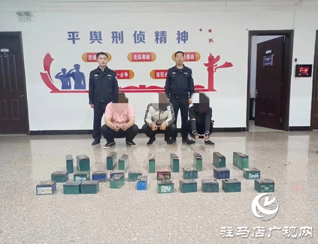 平輿警方偵破跨省市盜竊電動車電瓶系列團(tuán)伙案
