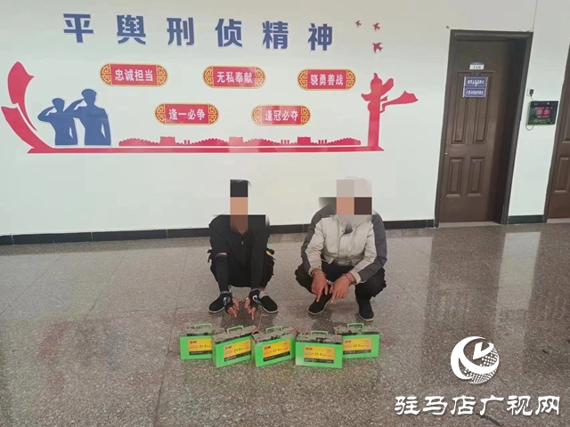 平輿警方偵破跨省市盜竊電動車電瓶系列團(tuán)伙案