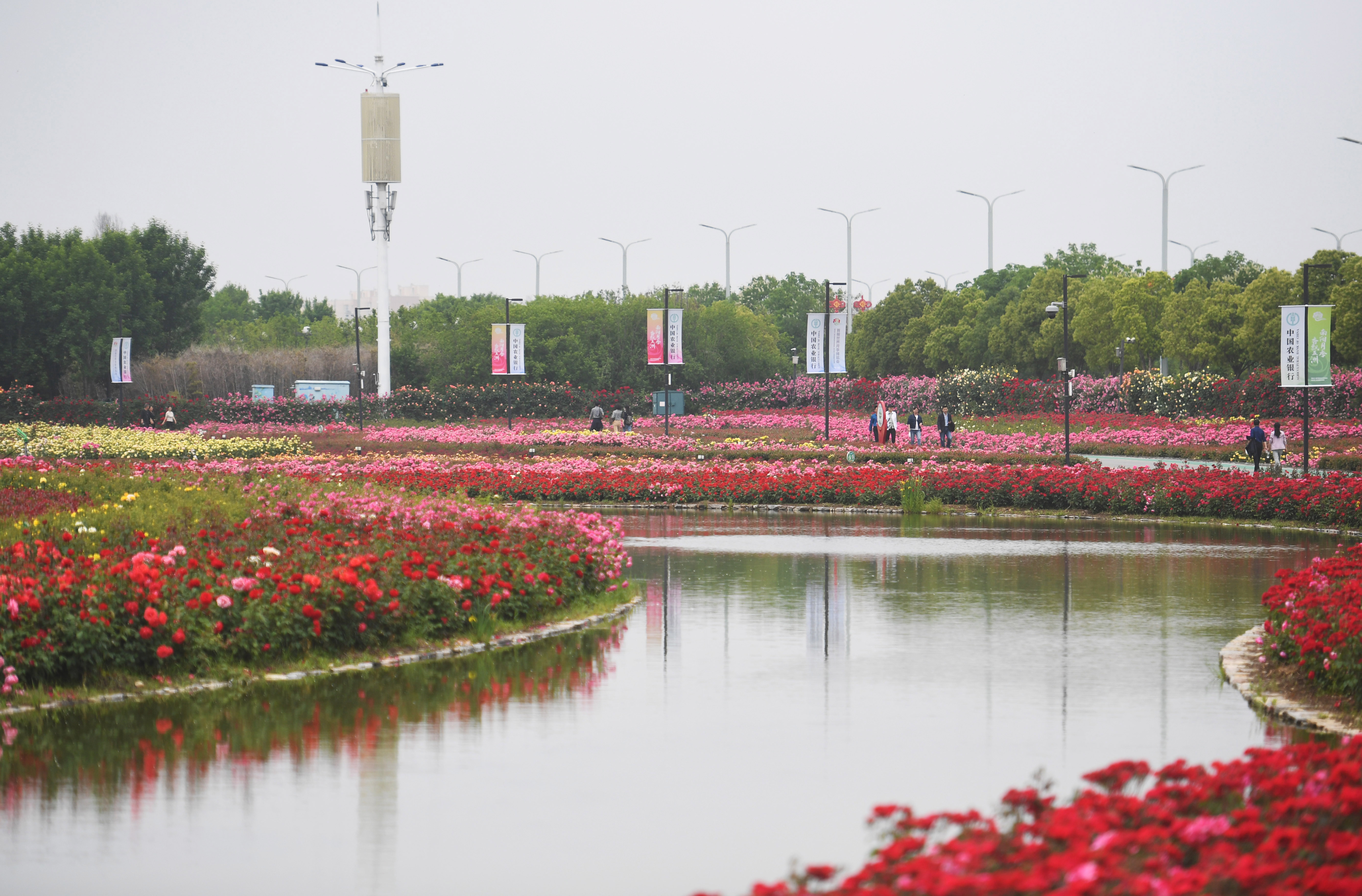 花千樹 香滿路：歷史名城南陽的“綠色”躍升
