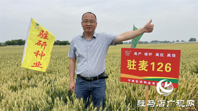 【喜訊】熱烈祝賀河南駐研種業(yè)小麥新品種“駐麥126”通過國審！