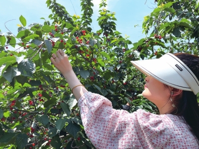 5·19中國旅游日將至，免票、半價......鄭州各大景區(qū)優(yōu)惠政策出爐