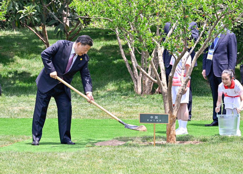 中國(guó)—中亞峰會(huì)丨這些年，習(xí)近平主席種下這些友誼之樹(shù)