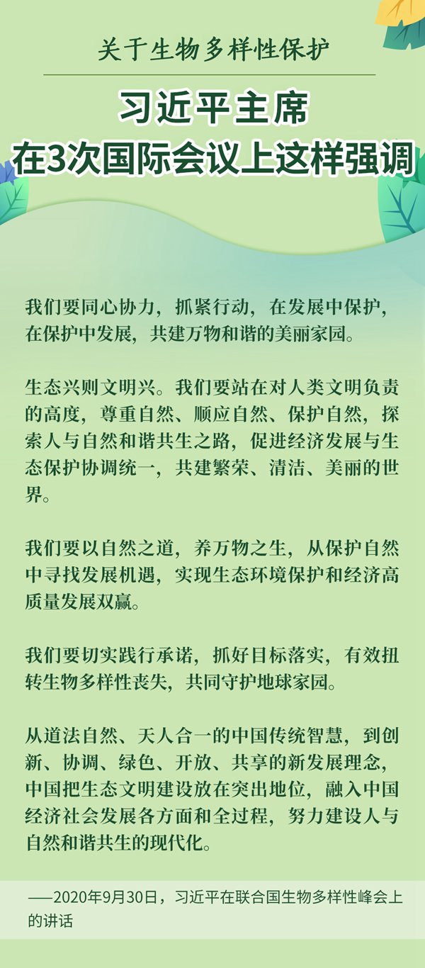 關(guān)于生物多樣性保護(hù)，習(xí)近平主席在3次國際會議上這樣強(qiáng)調(diào)