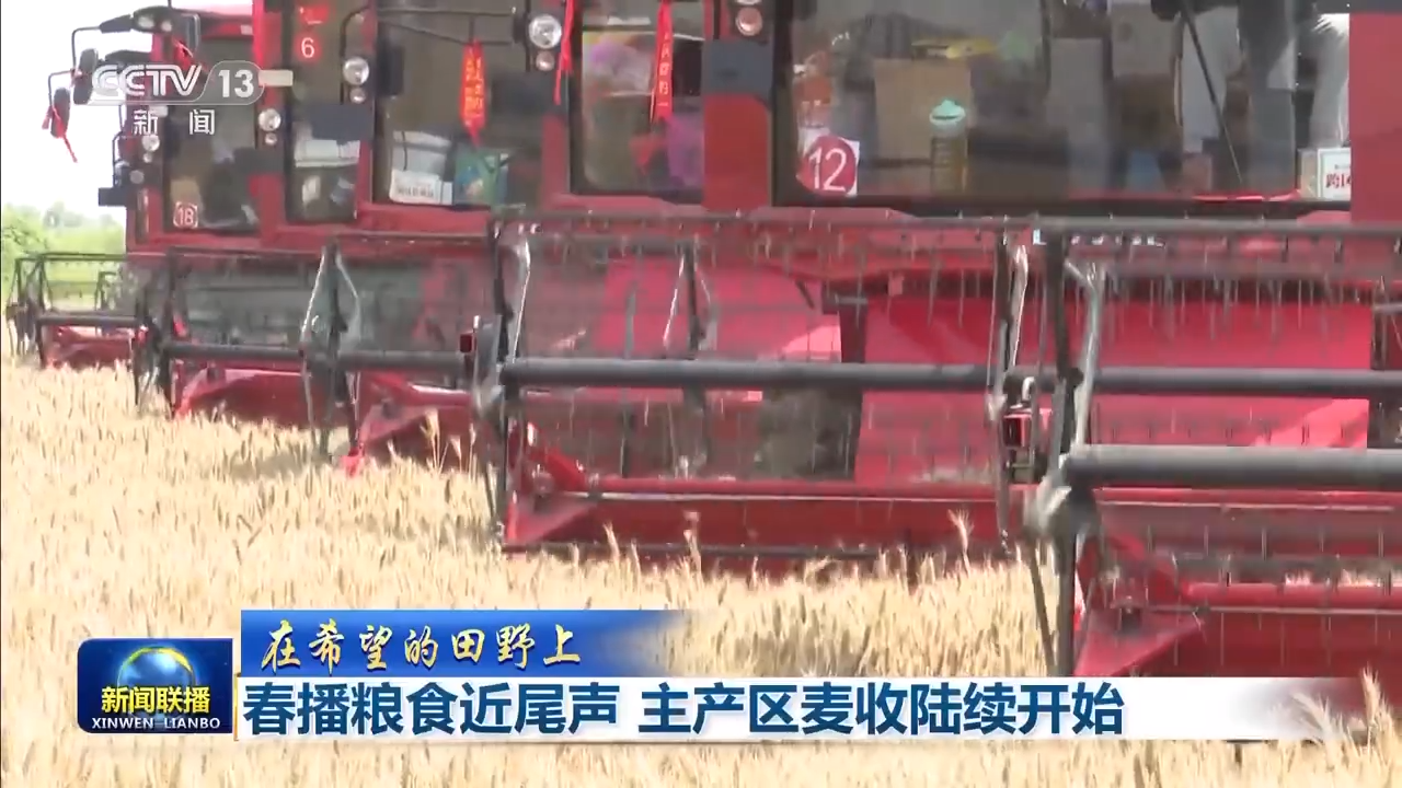 8.1億畝！全國春播糧食進度約90% 5月底冬小麥將大面積收獲