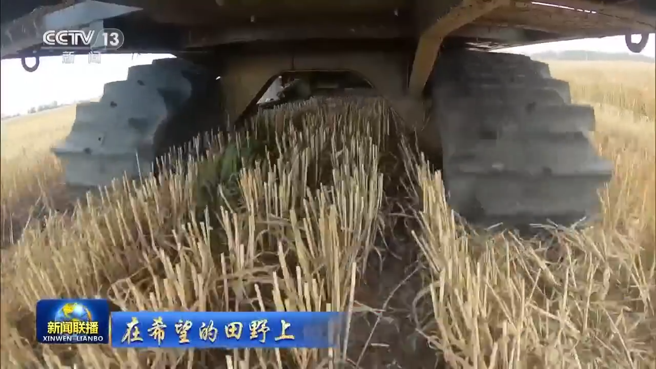 8.1億畝！全國春播糧食進度約90% 5月底冬小麥將大面積收獲