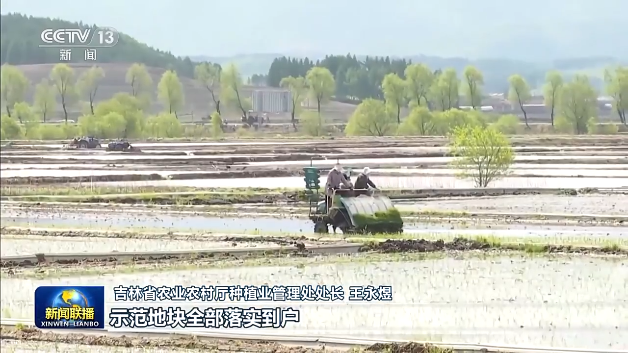 8.1億畝！全國春播糧食進度約90% 5月底冬小麥將大面積收獲