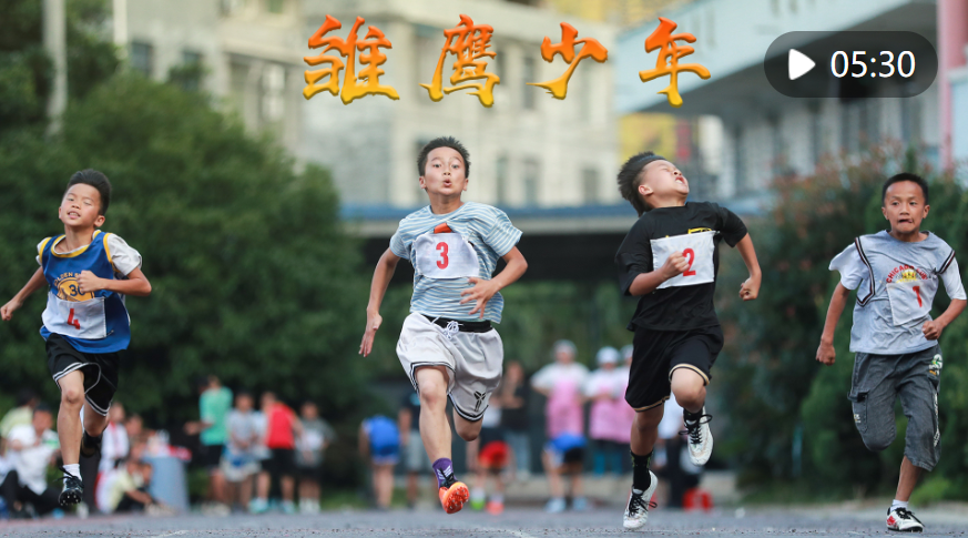 雛鷹少年