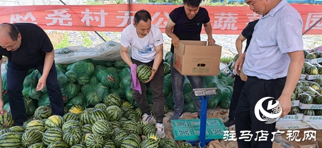 駐馬店市公共資源交易中心開展“愛心助農(nóng)‘瓜’分清涼”活動