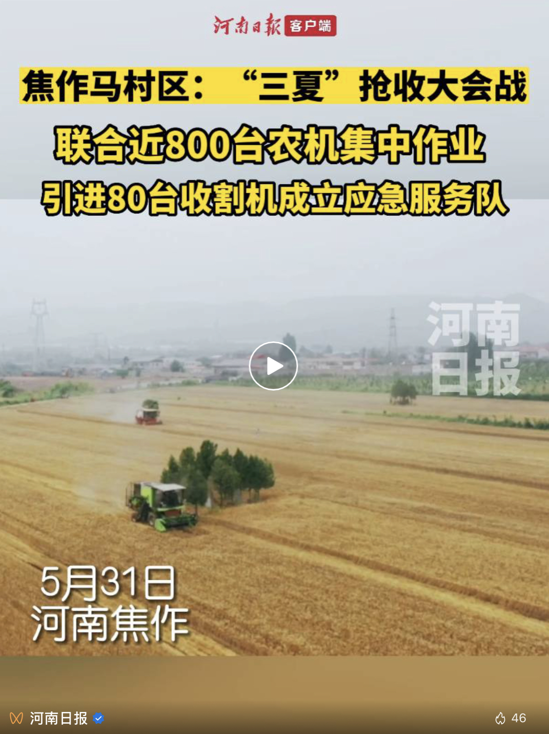 周末有中到大雨！為了麥子，河南人可以這么拼……