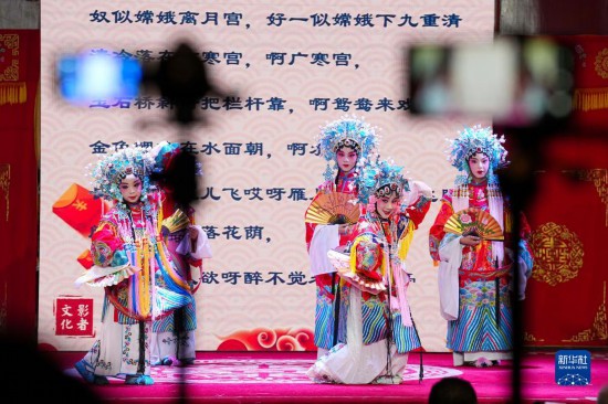百年老會(huì)館 娃娃大戲臺(tái)