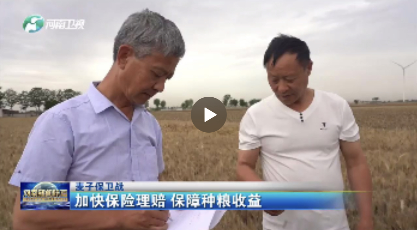 加快保險理賠 保障種糧收益|麥子保衛(wèi)戰(zhàn)