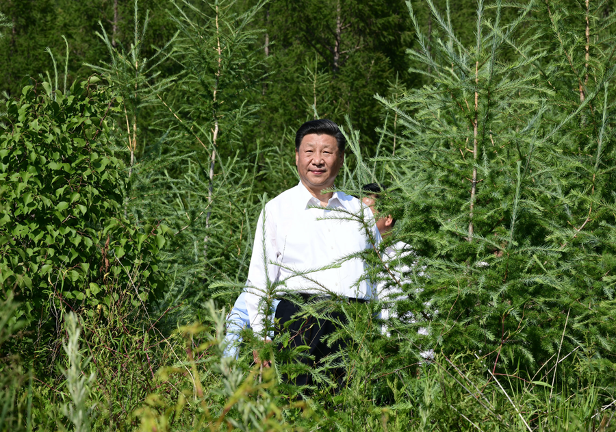 學習進行時丨構(gòu)筑“萬里綠色長城”，總書記念茲在茲