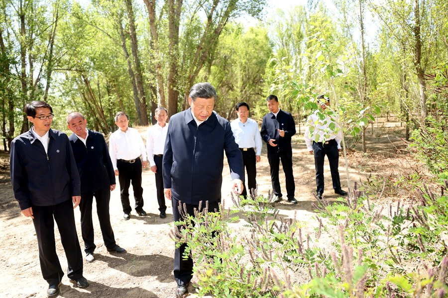學習進行時丨構(gòu)筑“萬里綠色長城”，總書記念茲在茲
