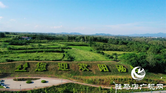 六月的泌陽，美出圈了！