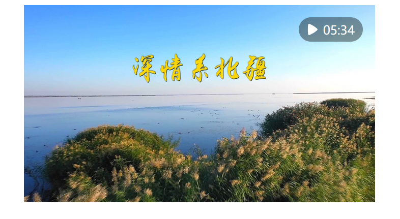 第1視點(diǎn)｜深情系北疆