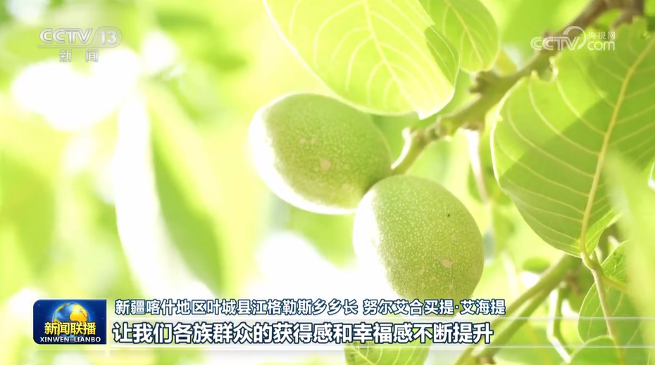把握戰(zhàn)略定位堅持綠色發(fā)展 奮力書寫中國式現(xiàn)代化新篇章——習(xí)近平總書記在內(nèi)蒙古考察時的重要講話在廣大干部群眾中引起強烈反響 