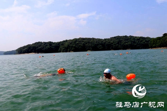 駐馬店:水天一色泳友劈波斬浪 蛟龍護(hù)衛(wèi)暢游開(kāi)心愜意
