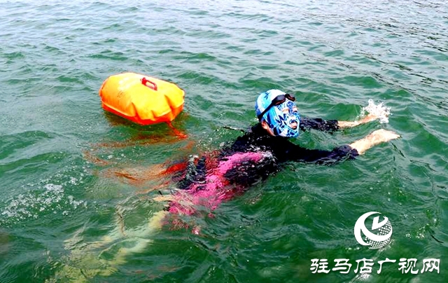 駐馬店:水天一色泳友劈波斬浪 蛟龍護(hù)衛(wèi)暢游開(kāi)心愜意