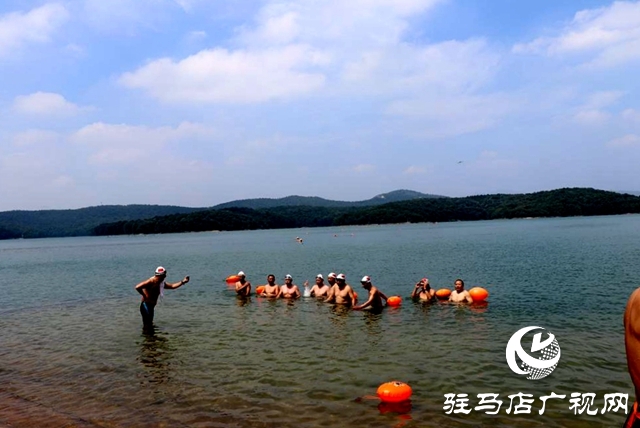 駐馬店:水天一色泳友劈波斬浪 蛟龍護(hù)衛(wèi)暢游開(kāi)心愜意