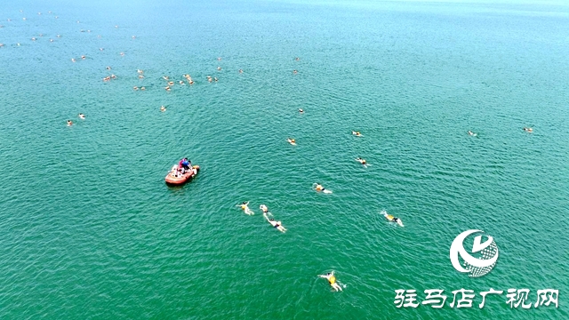 駐馬店:水天一色泳友劈波斬浪 蛟龍護(hù)衛(wèi)暢游開(kāi)心愜意