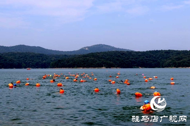 駐馬店:水天一色泳友劈波斬浪 蛟龍護(hù)衛(wèi)暢游開(kāi)心愜意