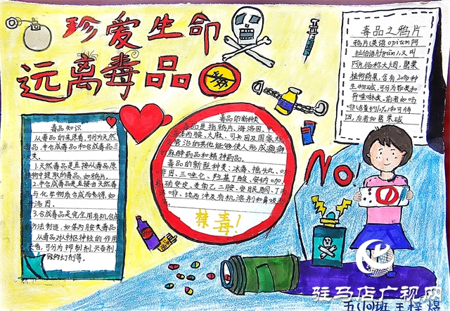 駐馬店實驗小學:禁毒宣傳進校園 護航少年助成長