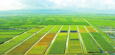 創(chuàng)新高地！ 中原農(nóng)谷大平臺 做強農(nóng)業(yè)“河南芯”