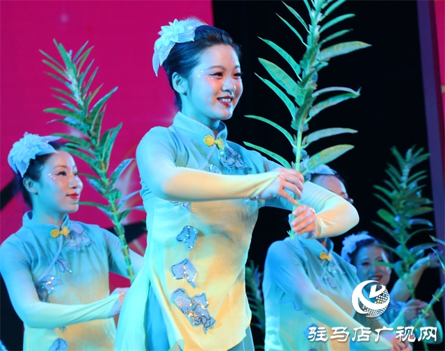 駐馬店:廣場(chǎng)舞翩躚 賽出新風(fēng)采