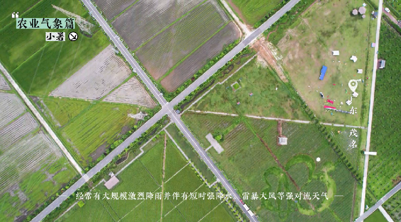 小暑——盛夏伊始，萬物蔥郁