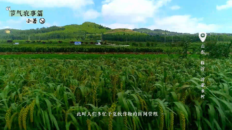 小暑——盛夏伊始，萬物蔥郁