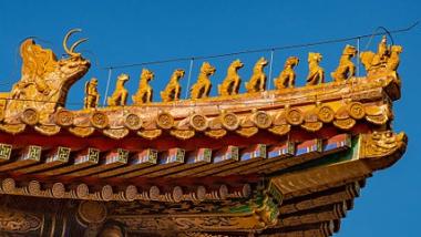 暑期研學(xué)旅行為何頻頻“踩坑”？