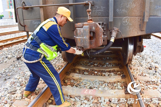 “戰(zhàn)高溫、斗酷暑”烈日下的堅守