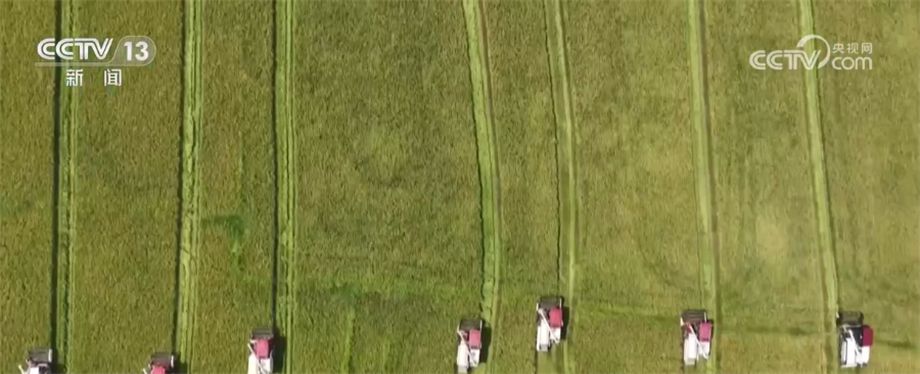 底盤穩(wěn)、消費旺 中國多舉措推動經(jīng)濟恢復向好