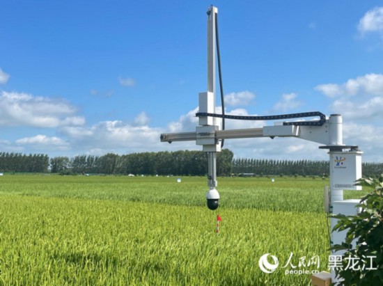 跟著總書記看中國｜倉廩實(shí)、科技興 北大荒農(nóng)業(yè)現(xiàn)代化大步向前