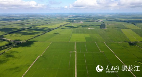 跟著總書記看中國｜倉廩實(shí)、科技興 北大荒農(nóng)業(yè)現(xiàn)代化大步向前