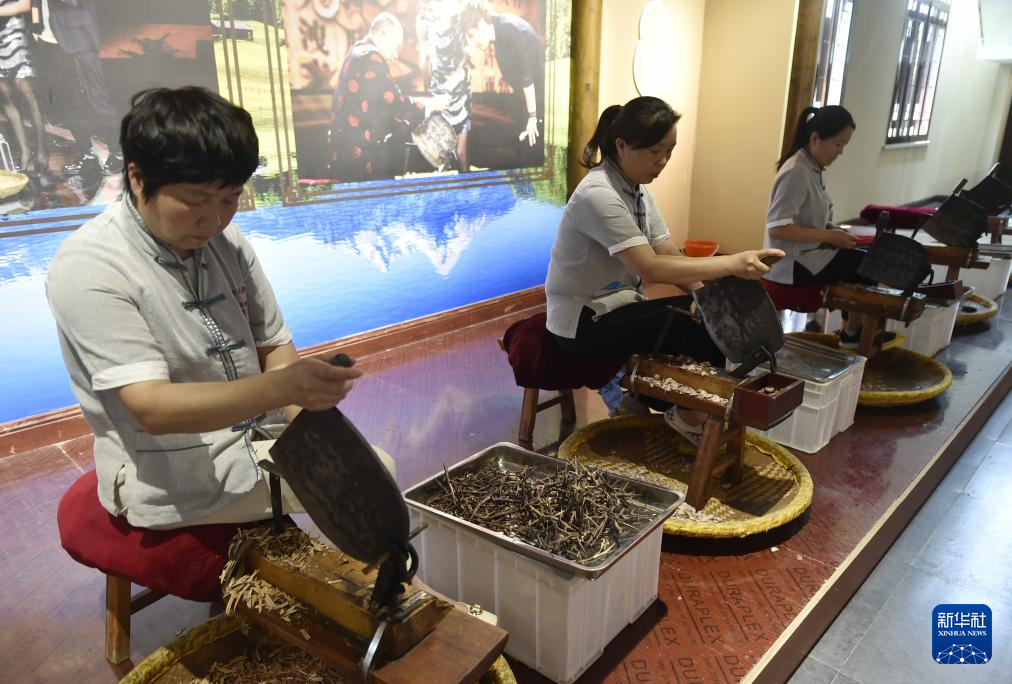 走進(jìn)技藝傳習(xí)館 感受中藥材加工