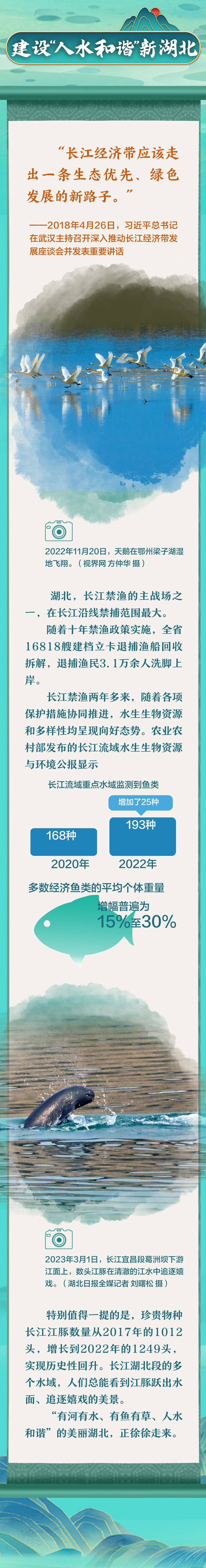 跟著總書記看中國丨青山綠水 潮涌大江